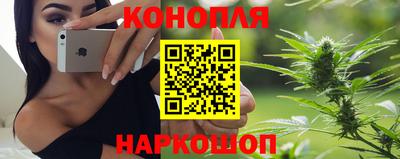 прущие грибы Ставрополь