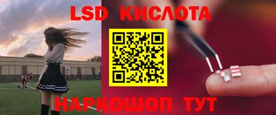 СК Сланцы