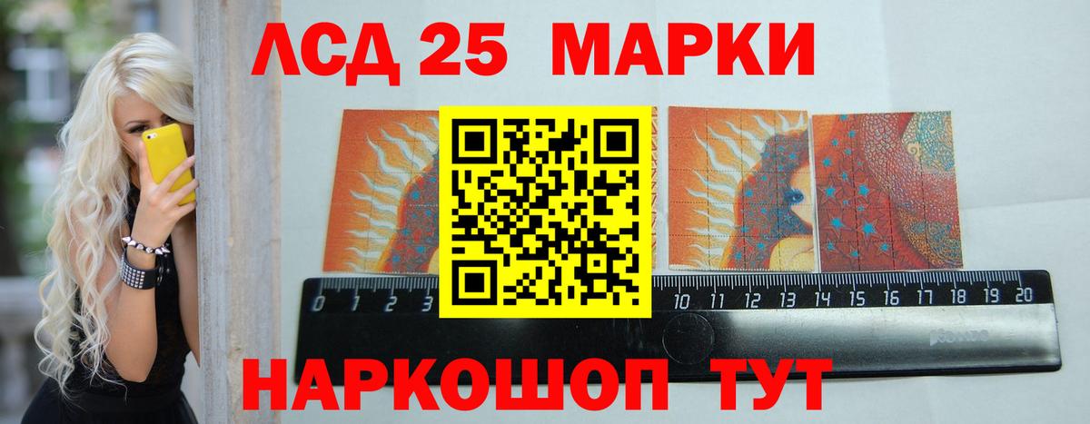 Новозыбков    ONION  Вход с VPN  Лсд 25 экстази  LSD-25 экстази кислота  LSD-25 экстази ecstasy 