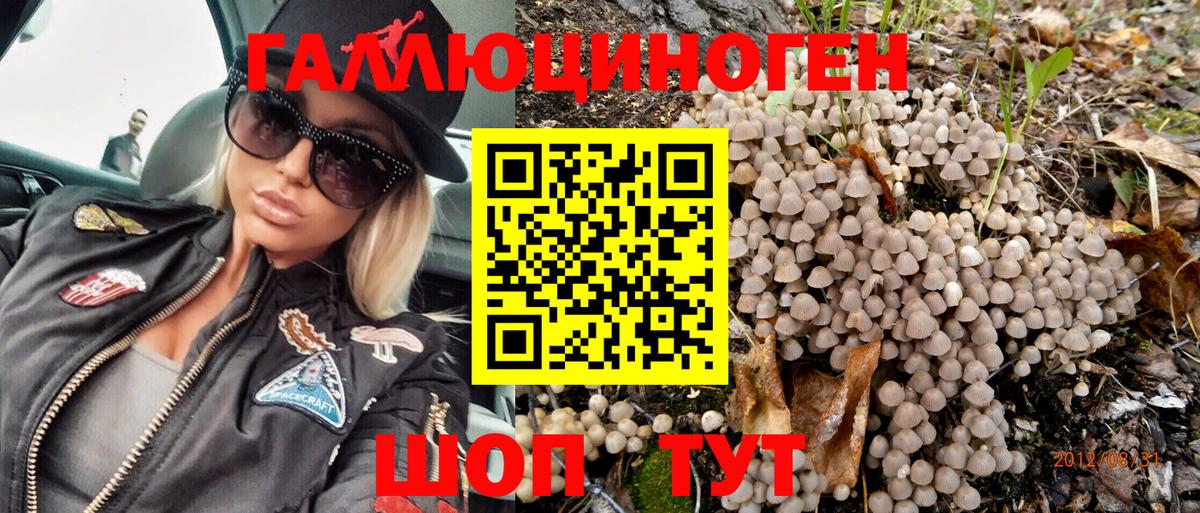 наркотики  Галлюциногенные грибы MAGIC MUSHROOMS  Вход с VPN  Новозыбков 