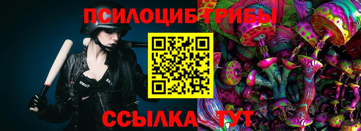 Псилоцибиновые грибы GOLDEN TEACHER Новозыбков